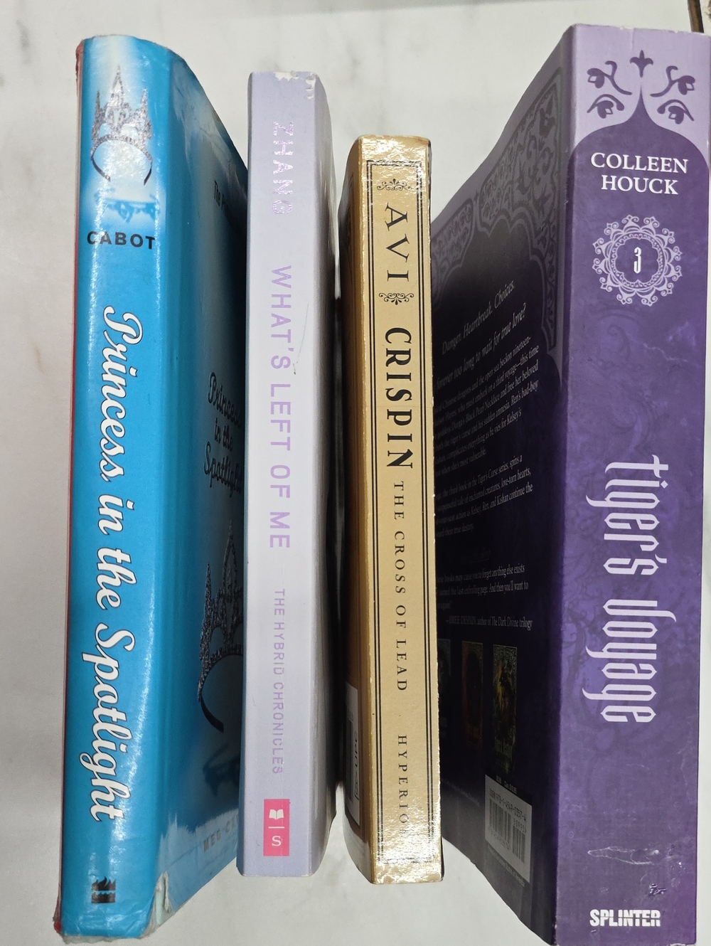 Young Adult Novel Bundle 4 Books + Bonus